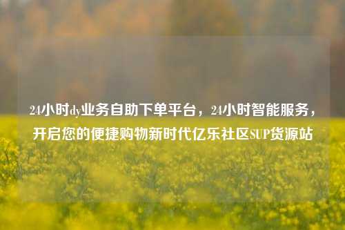 24小时dy业务自助下单平台，24小时智能服务，开启您的便捷购物新时代亿乐社区SUP货源站  第1张