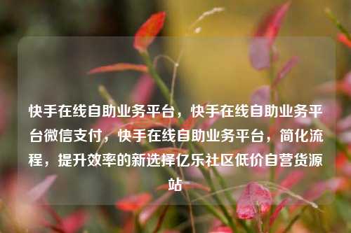 快手在线自助业务平台，快手在线自助业务平台微信支付	，快手在线自助业务平台，简化流程，提升效率的新选择亿乐社区低价自营货源站  第1张