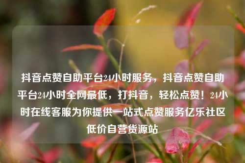 抖音点赞自助平台24小时服务，抖音点赞自助平台24小时全网最低	，打抖音，轻松点赞！24小时在线客服为你提供一站式点赞服务亿乐社区低价自营货源站  第1张