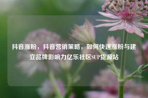 抖音涨粉，抖音营销策略，如何快速涨粉与建立品牌影响力亿乐社区SUP货源站  第1张