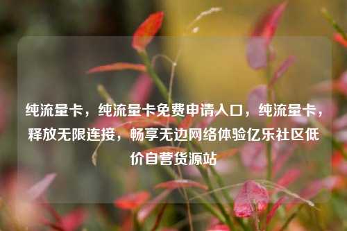 纯流量卡，纯流量卡免费申请入口，纯流量卡	，释放无限连接，畅享无边网络体验亿乐社区低价自营货源站  第1张