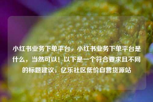 小红书业务下单平台，小红书业务下单平台是什么	，当然可以！以下是一个符合要求且不同的标题建议，亿乐社区低价自营货源站  第1张