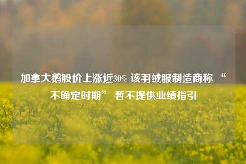 加拿大鹅股价上涨近30% 该羽绒服制造商称 “不确定时期” 暂不提供业绩指引  第1张
