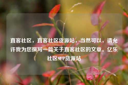 直客社区	，直客社区货源站，当然可以，请允许我为您撰写一篇关于直客社区的文章。亿乐社区SUP货源站  第1张