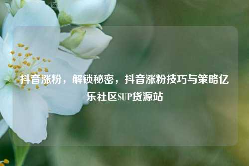 抖音涨粉，解锁秘密，抖音涨粉技巧与策略亿乐社区SUP货源站  第1张