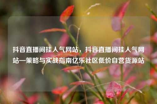 抖音直播间挂人气网站	，抖音直播间挂人气网站—策略与实战指南亿乐社区低价自营货源站  第1张