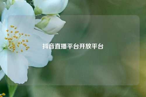 抖音直播平台开放平台  第1张
