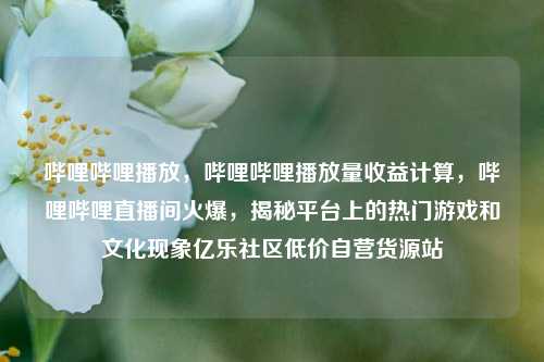 哔哩哔哩播放	，哔哩哔哩播放量收益计算，哔哩哔哩直播间火爆，揭秘平台上的热门游戏和文化现象亿乐社区低价自营货源站  第1张