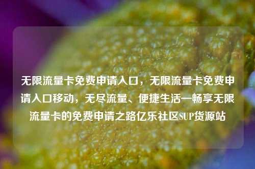无限流量卡免费申请入口	，无限流量卡免费申请入口移动，无尽流量、便捷生活—畅享无限流量卡的免费申请之路亿乐社区SUP货源站  第1张