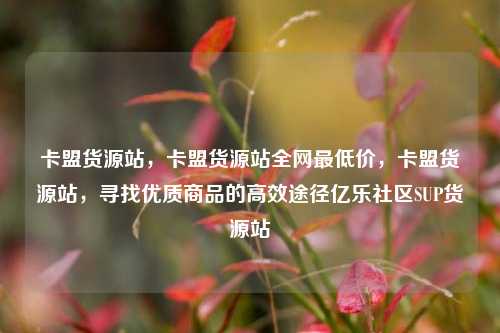 卡盟货源站，卡盟货源站全网最低价，卡盟货源站	，寻找优质商品的高效途径亿乐社区SUP货源站  第1张