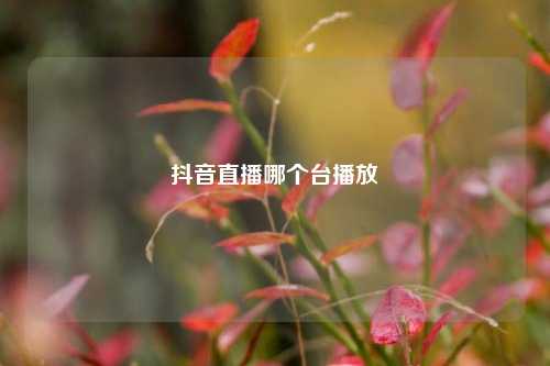 抖音直播哪个台播放  第1张
