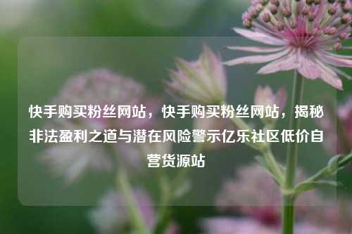 快手购买粉丝网站，快手购买粉丝网站	，揭秘非法盈利之道与潜在风险警示亿乐社区低价自营货源站  第1张