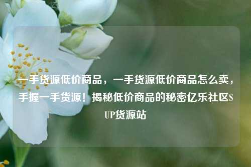 一手货源低价商品，一手货源低价商品怎么卖	，手握一手货源！揭秘低价商品的秘密亿乐社区SUP货源站  第1张