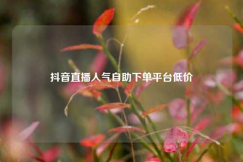 抖音直播人气自助下单平台低价  第1张