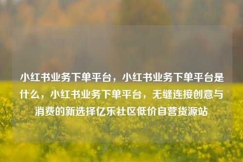小红书业务下单平台，小红书业务下单平台是什么	，小红书业务下单平台，无缝连接创意与消费的新选择亿乐社区低价自营货源站  第1张