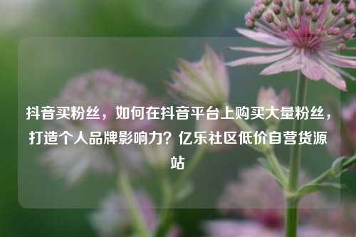 抖音买粉丝	，如何在抖音平台上购买大量粉丝，打造个人品牌影响力？亿乐社区低价自营货源站  第1张