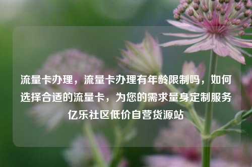 流量卡办理	，流量卡办理有年龄限制吗，如何选择合适的流量卡，为您的需求量身定制服务亿乐社区低价自营货源站  第1张