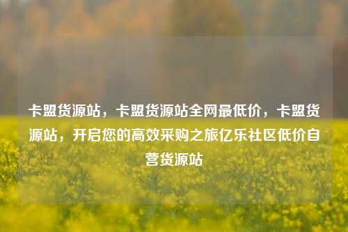 卡盟货源站，卡盟货源站全网最低价，卡盟货源站	，开启您的高效采购之旅亿乐社区低价自营货源站  第1张