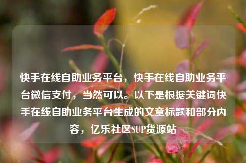 快手在线自助业务平台，快手在线自助业务平台微信支付，当然可以	。以下是根据关键词快手在线自助业务平台生成的文章标题和部分内容	，亿乐社区SUP货源站  第1张