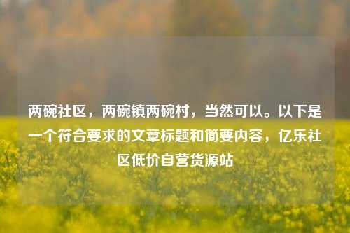 两碗社区	，两碗镇两碗村，当然可以。以下是一个符合要求的文章标题和简要内容，亿乐社区低价自营货源站  第1张