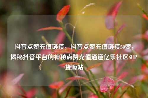 抖音点赞充值链接	，抖音点赞充值链接50赞，揭秘抖音平台的神秘点赞充值通道亿乐社区SUP货源站  第1张