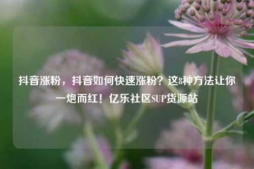 抖音涨粉，抖音如何快速涨粉？这8种方法让你一炮而红！亿乐社区SUP货源站  第1张