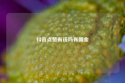 抖音点赞有钱吗有佣金  第1张