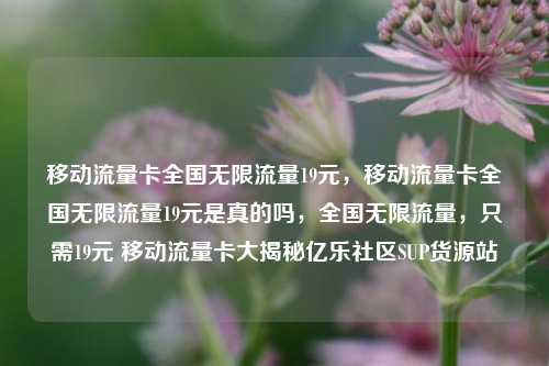 移动流量卡全国无限流量19元，移动流量卡全国无限流量19元是真的吗	，全国无限流量，只需19元 移动流量卡大揭秘亿乐社区SUP货源站  第1张