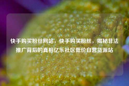 快手购买粉丝网站，快手购买粉丝，揭秘非法推广背后的真相亿乐社区低价自营货源站  第1张