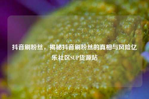 抖音刷粉丝，揭秘抖音刷粉丝的真相与风险亿乐社区SUP货源站  第1张