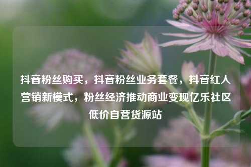 抖音粉丝购买，抖音粉丝业务套餐，抖音红人营销新模式	，粉丝经济推动商业变现亿乐社区低价自营货源站  第1张