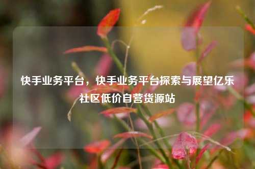 快手业务平台，快手业务平台探索与展望亿乐社区低价自营货源站  第1张