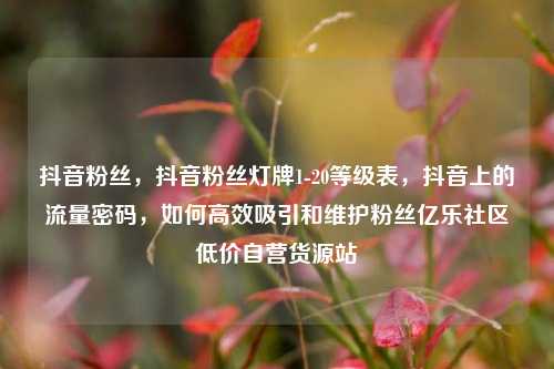 抖音粉丝，抖音粉丝灯牌1-20等级表，抖音上的流量密码	，如何高效吸引和维护粉丝亿乐社区低价自营货源站  第1张