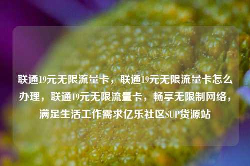 联通19元无限流量卡，联通19元无限流量卡怎么办理，联通19元无限流量卡	，畅享无限制网络，满足生活工作需求亿乐社区SUP货源站  第1张