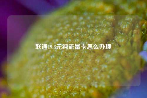 联通19.8元纯流量卡怎么办理  第1张