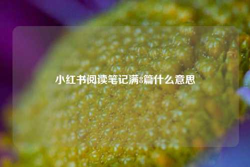 小红书阅读笔记满8篇什么意思  第1张