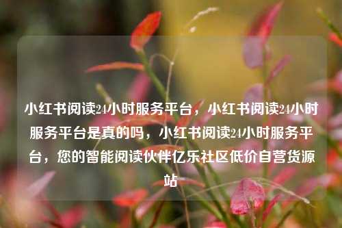 小红书阅读24小时服务平台	，小红书阅读24小时服务平台是真的吗，小红书阅读24小时服务平台，您的智能阅读伙伴亿乐社区低价自营货源站  第1张