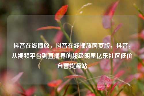 抖音在线播放，抖音在线播放网页版，抖音	，从视频平台到直播界的超级明星亿乐社区低价自营货源站  第1张