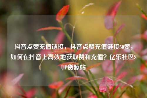 抖音点赞充值链接，抖音点赞充值链接50赞，如何在抖音上高效地获取赞和充值？亿乐社区SUP货源站  第1张