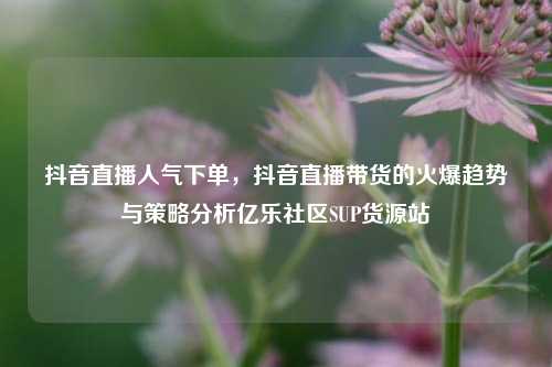 抖音直播人气下单，抖音直播带货的火爆趋势与策略分析亿乐社区SUP货源站  第1张