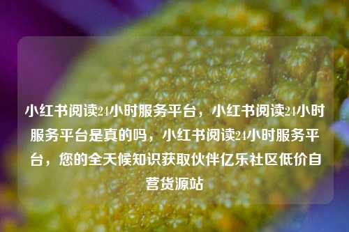 小红书阅读24小时服务平台，小红书阅读24小时服务平台是真的吗	，小红书阅读24小时服务平台，您的全天候知识获取伙伴亿乐社区低价自营货源站  第1张