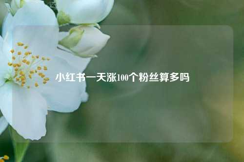小红书一天涨100个粉丝算多吗  第1张
