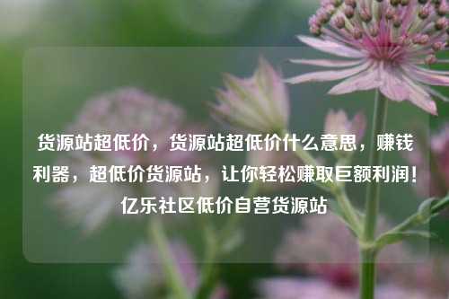 货源站超低价	，货源站超低价什么意思，赚钱利器，超低价货源站，让你轻松赚取巨额利润！亿乐社区低价自营货源站  第1张