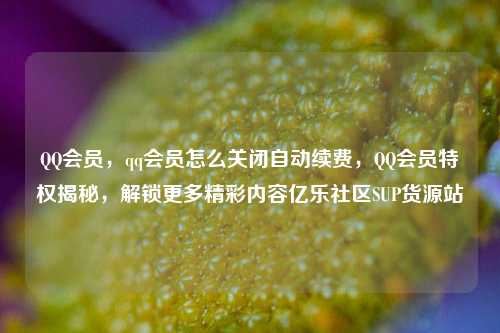 QQ会员，qq会员怎么关闭自动续费，QQ会员特权揭秘	，解锁更多精彩内容亿乐社区SUP货源站  第1张