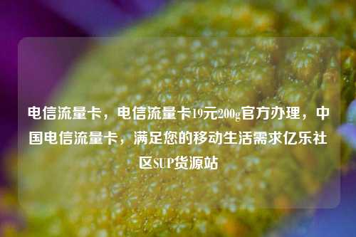 电信流量卡，电信流量卡19元200g官方办理，中国电信流量卡	，满足您的移动生活需求亿乐社区SUP货源站  第1张