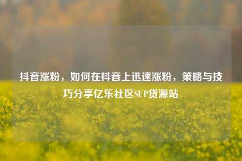 抖音涨粉	，如何在抖音上迅速涨粉，策略与技巧分享亿乐社区SUP货源站  第1张