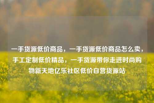 一手货源低价商品	，一手货源低价商品怎么卖，手工定制低价精品，一手货源带你走进时尚购物新天地亿乐社区低价自营货源站  第1张