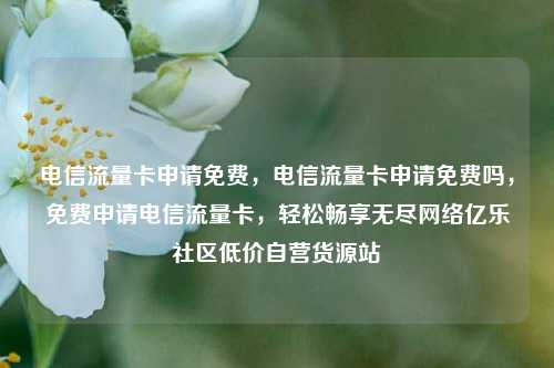 电信流量卡申请免费，电信流量卡申请免费吗	，免费申请电信流量卡，轻松畅享无尽网络亿乐社区低价自营货源站  第1张