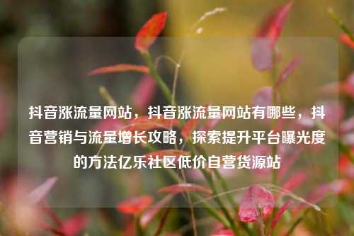 抖音涨流量网站，抖音涨流量网站有哪些，抖音营销与流量增长攻略，探索提升平台曝光度的方法亿乐社区低价自营货源站  第1张