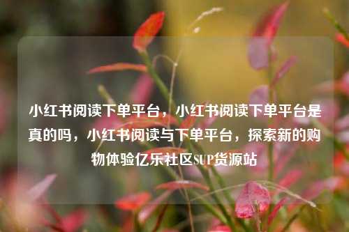小红书阅读下单平台，小红书阅读下单平台是真的吗	，小红书阅读与下单平台，探索新的购物体验亿乐社区SUP货源站  第1张